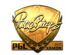 pashaBiceps (Gold) | Boston 2018 image